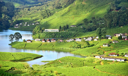 Munnar | Shree Rajyash Holidays