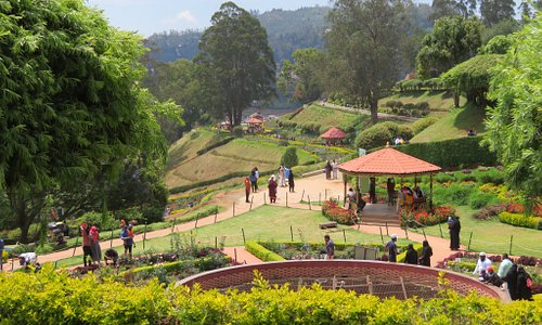 ooty | Shree Rajyash Holidays